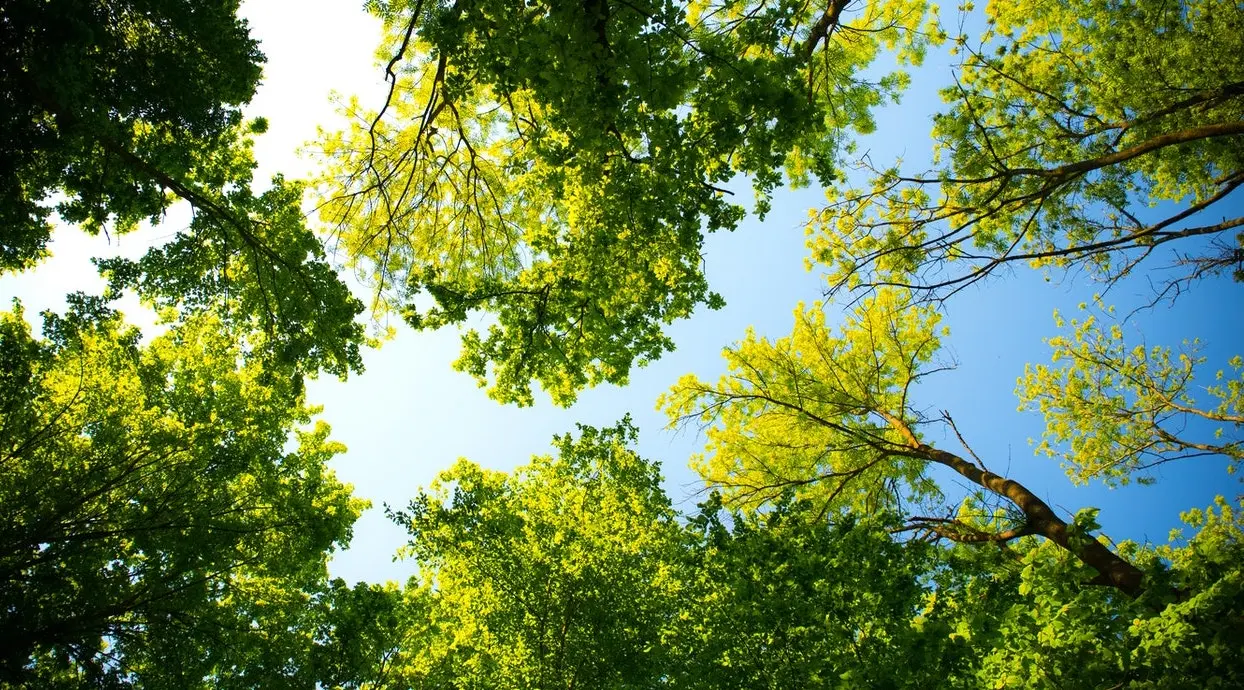 Green parks in Istanbul
